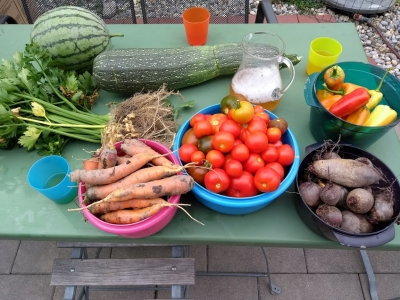 Permakultur Selbstversorger-Garten