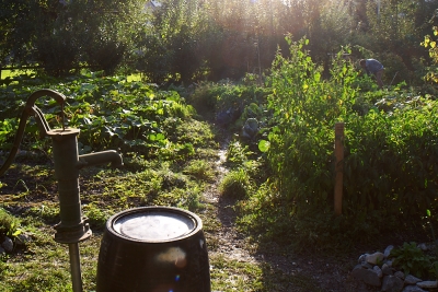 Lauter lose F&auml;den?